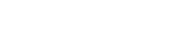 Zumo International